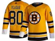 Youth Adidas Boston Bruins Daniel Vladar Gold 2020/21 Special Edition Jersey - Breakaway
